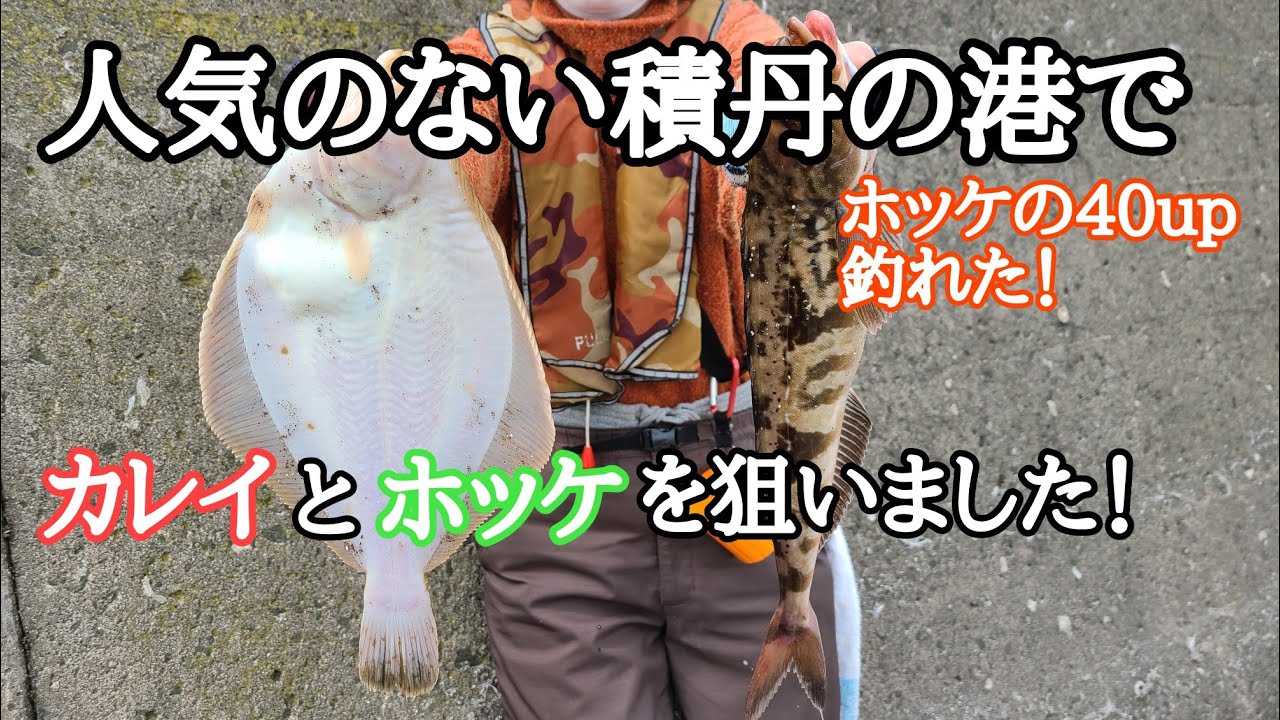 積丹の人気のない漁港で投げ釣り