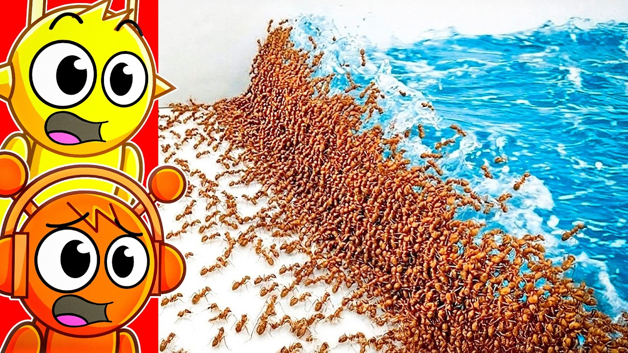1000 Ants vs Natural Disasters