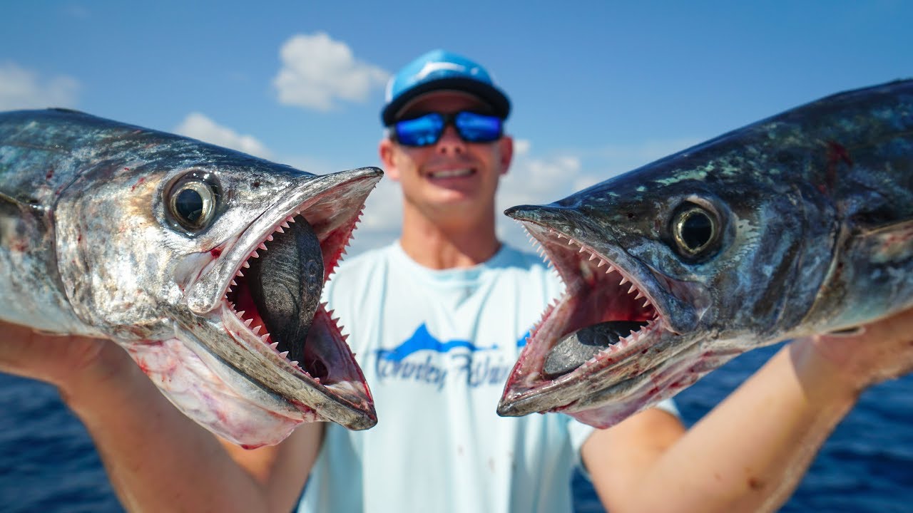 DEEP Sea Kingfish! Catch Clean Cook