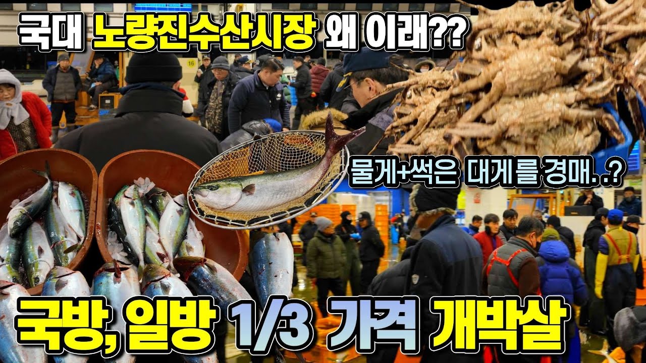 노량진수산시장 왜 이래? 국산방어 일산방어 초토화? 1/3 가격 살사람이 없는데 / 물게+썩은 대게는 경매장 왜??