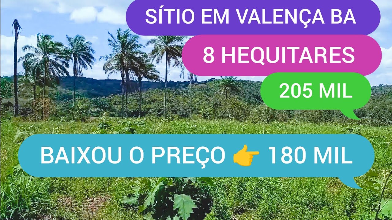 SÍTIO COM 8 HEQUITARES EM VALENÇA BA CÓDIGO:0222 ZAP 73981663547 MARCIO