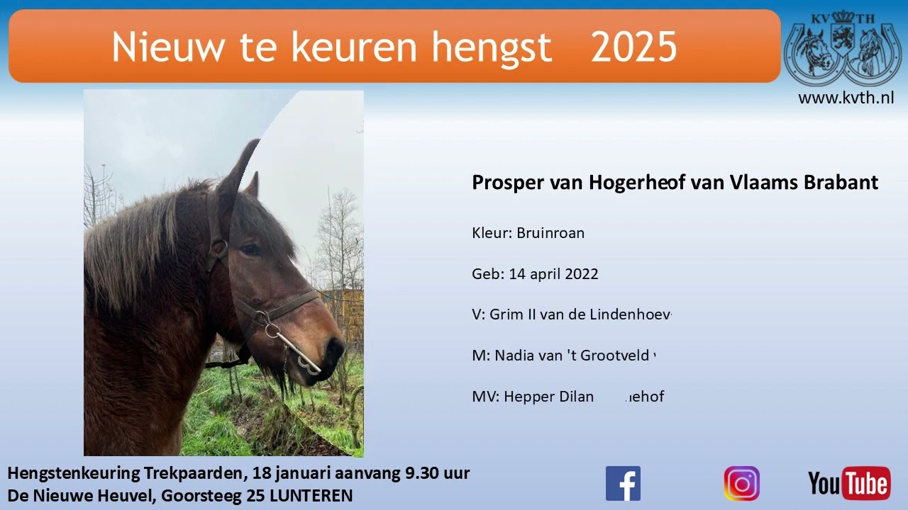 vooraankondiging nieuw te keuren TP hengsten HK 2025