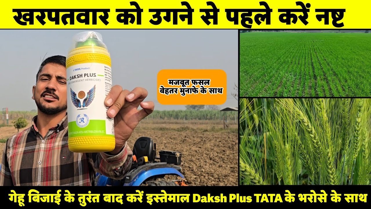 खरपतवार उगने से पहले ही जड़ से खत्म - Daksh Plus - Pre emergent Herbicide - @RallisIndiaLtdCropCare