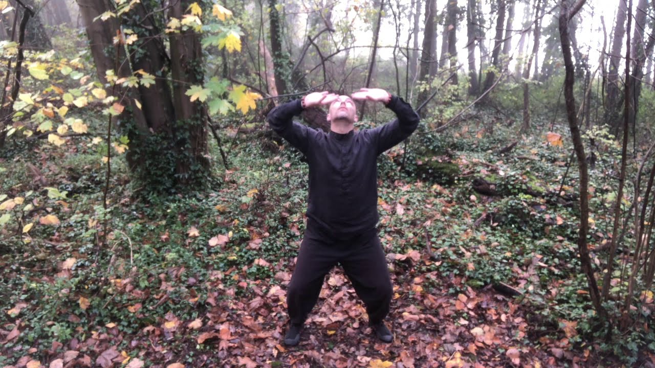 ☯️ Ô KLM ☯️ - Qi Gong - Les 5 trésors