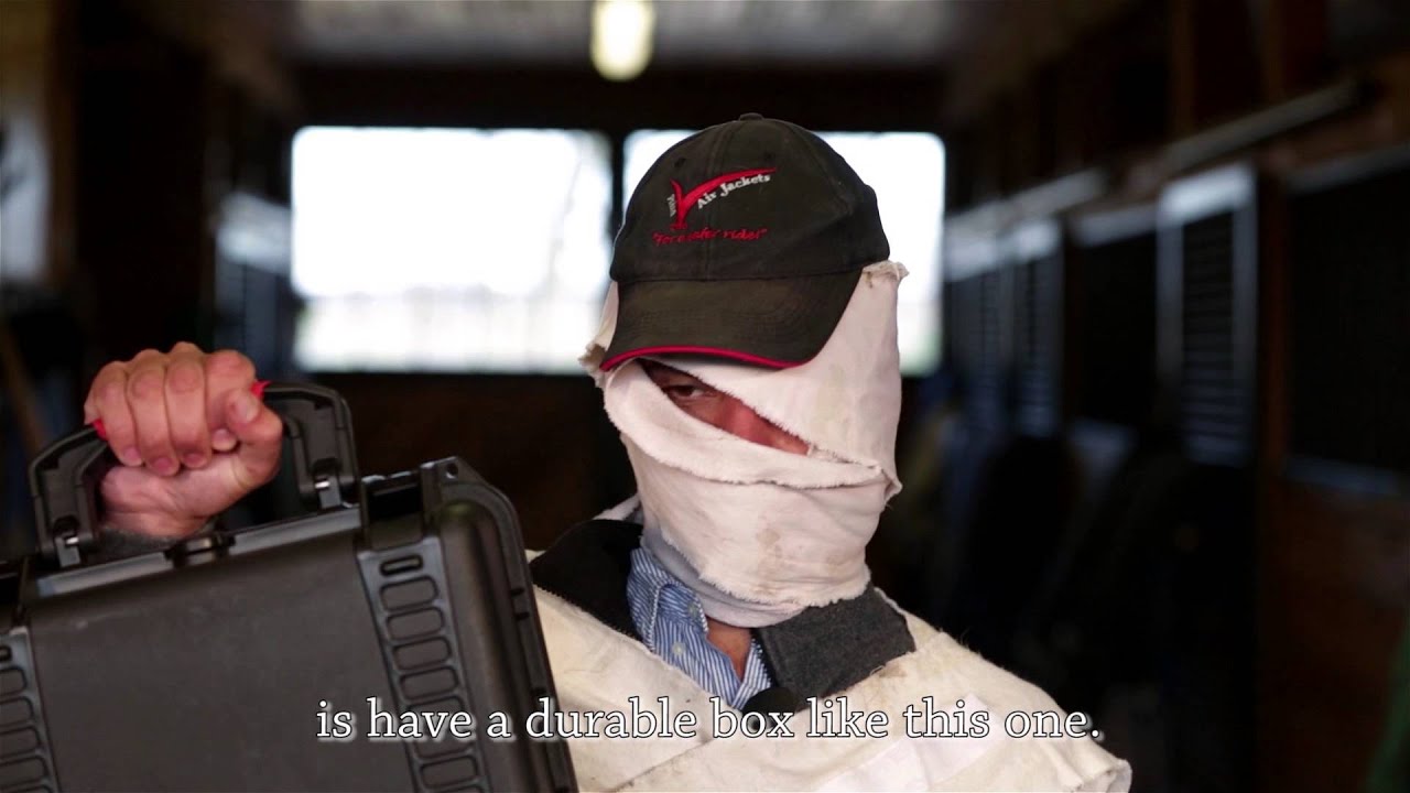 First Aid For Your Horse