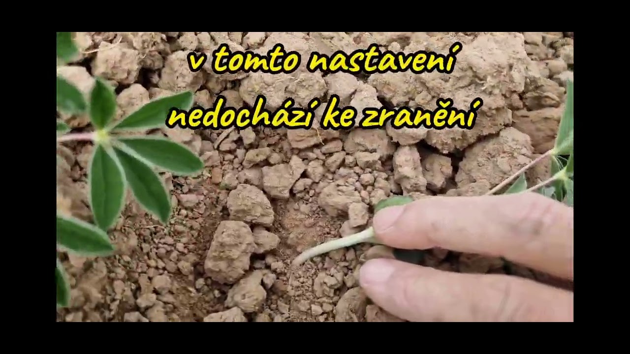 Treffer TS1220 prutové brány pletí lupiny ZD Sádek a.s.