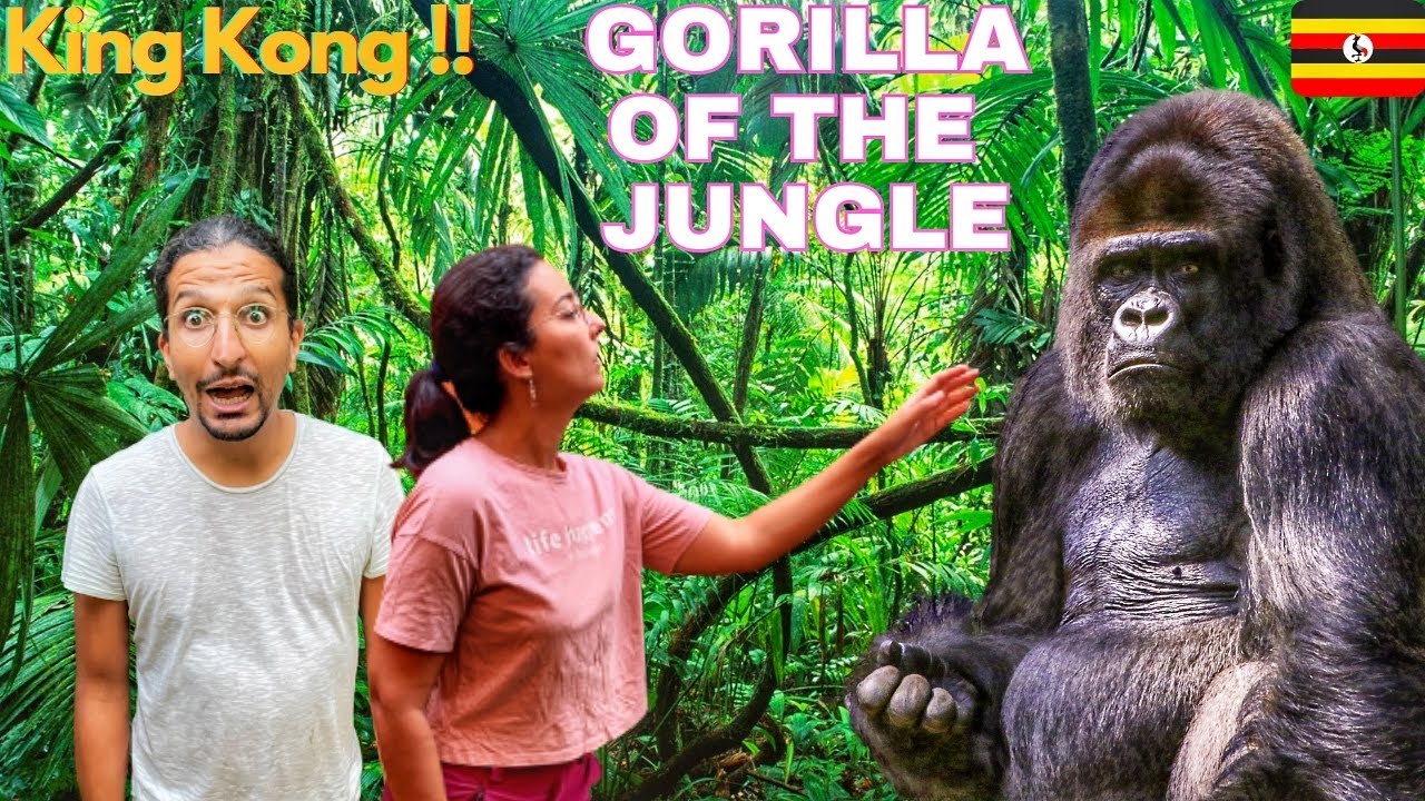 #73 شفنا كينغ كونغ الغابة الحقيقي🦍 فأدغال أوغاندا🇺🇬| جوالة فإفريقيا🌍