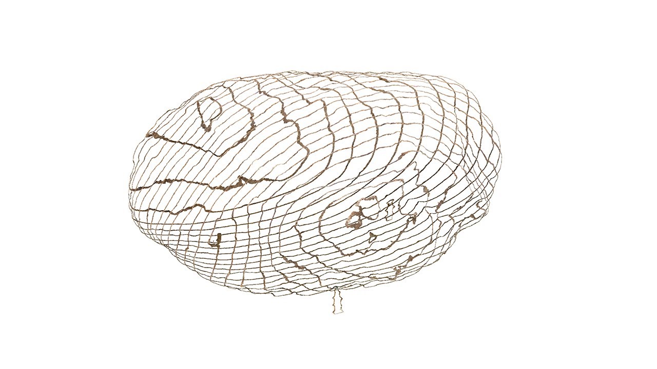 Cross sections of a point cloud (CloudCompare)