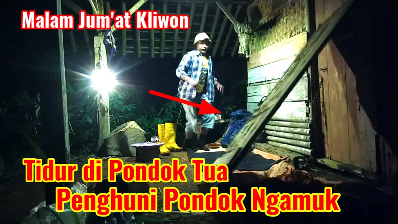 CAMPING HOROR MALAM JUM'AT KLIWON PENGHUNI PONDOK NGAMUK