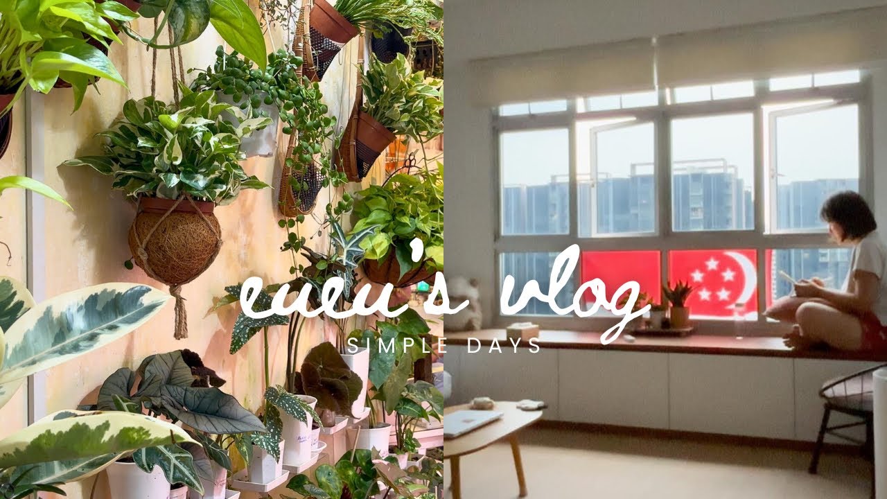 Unemployment Days: Kimchi Fried Rice, Pinduoduo Snacks, Explore Bukit Timah, Interesting Plant Shop