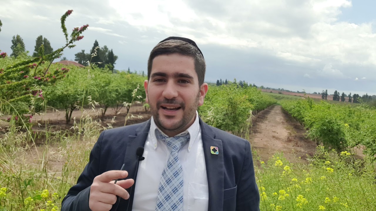 דבר תורה קצר לפסח
