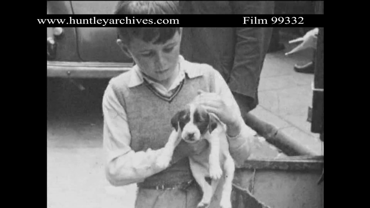 Liverpool Docks Mid 1950's.  Archive film 99332