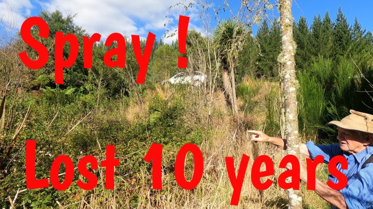 The damage that roundup spray does #nz #naturelovers #nativetrees