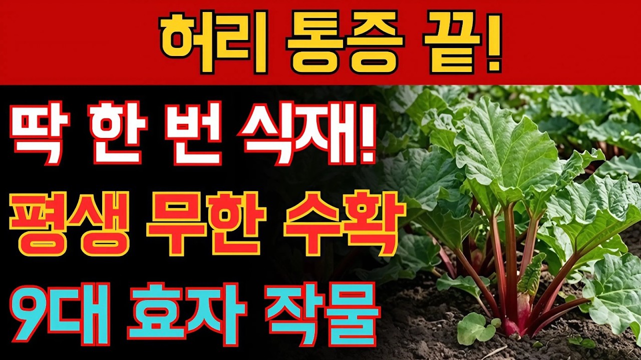 평생 허리 굽힐 일 없습니다! 딱 한 번 심어 평생 따먹는 9가지 보물