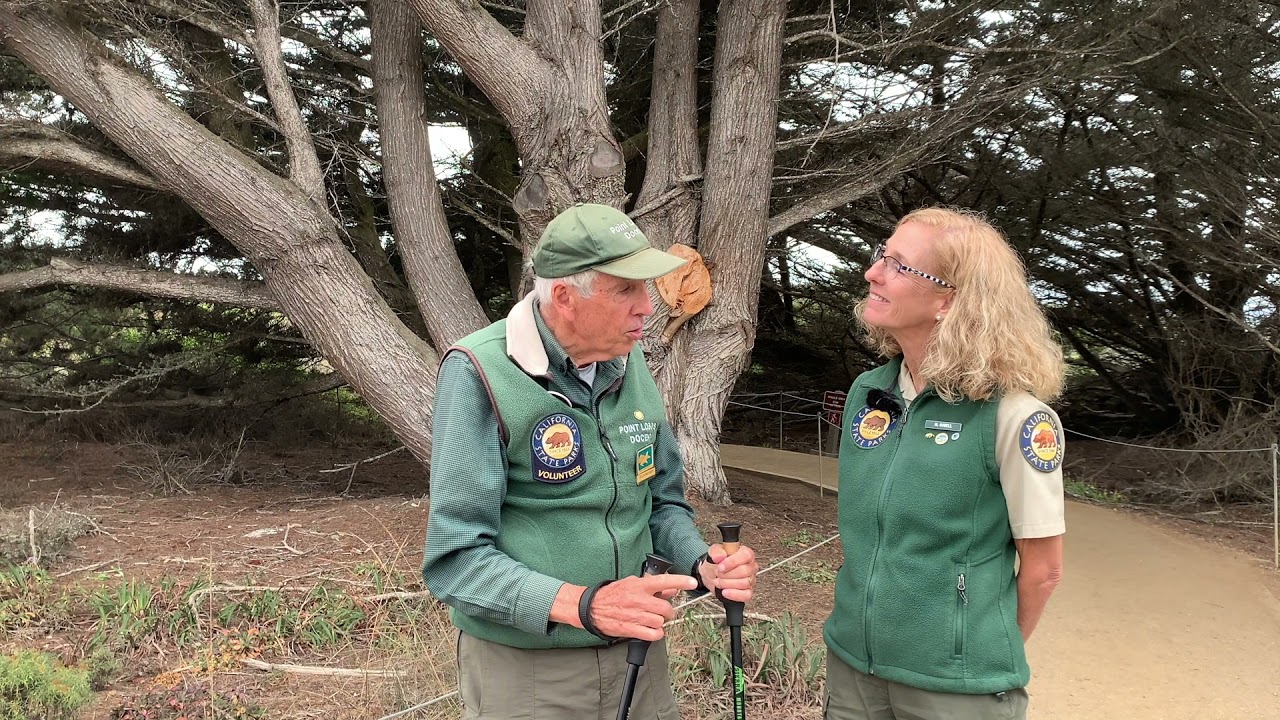 Happy Trails to You at Pt. Lobos State Natural Reserve