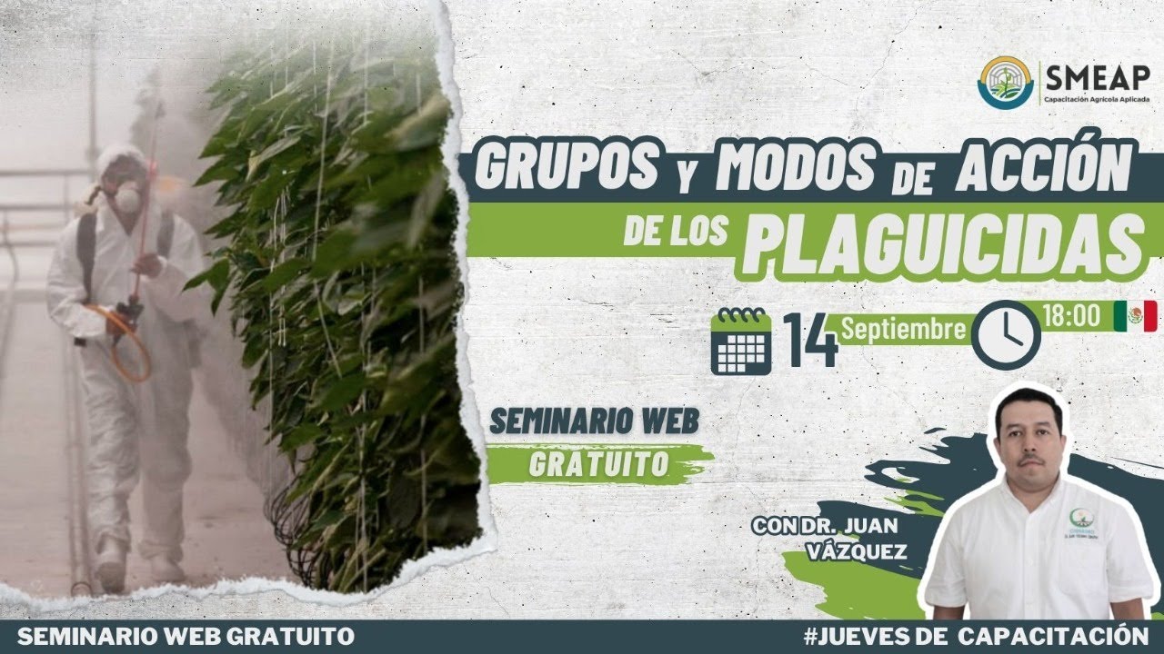 Grupos y modos de acción de los Plaguicidas
