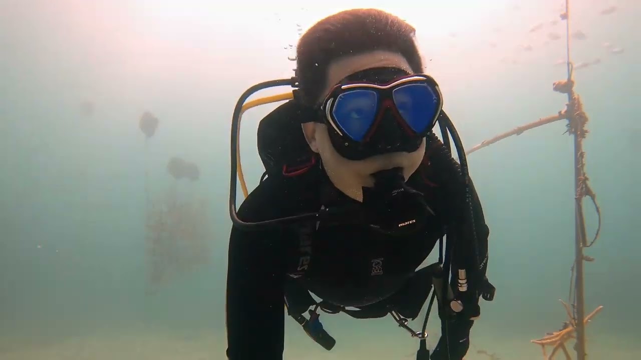 Scuba Diving in Fajardo, Puerto Rico