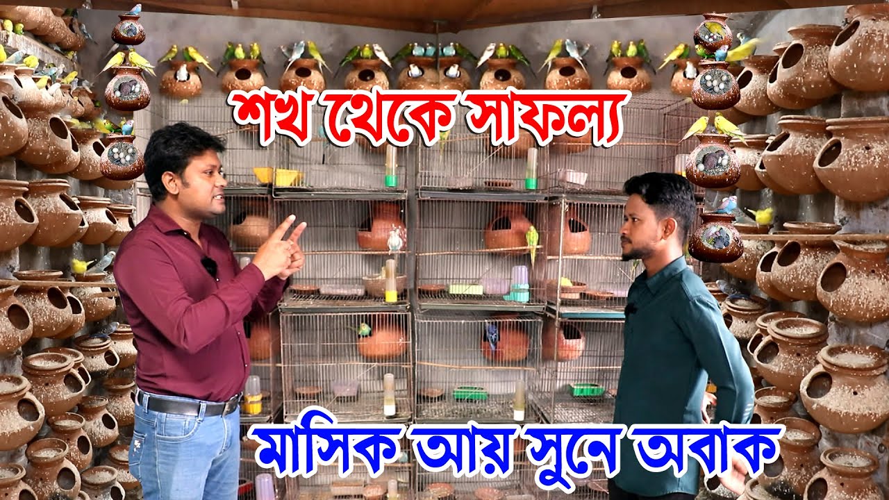 শখ থেকে সাফল্য পাখি থেকে | পাখি পালন বাচ্চা উৎপাদনের সেরা খামার | দামী পাখির খামার করে সফল হাবিব
