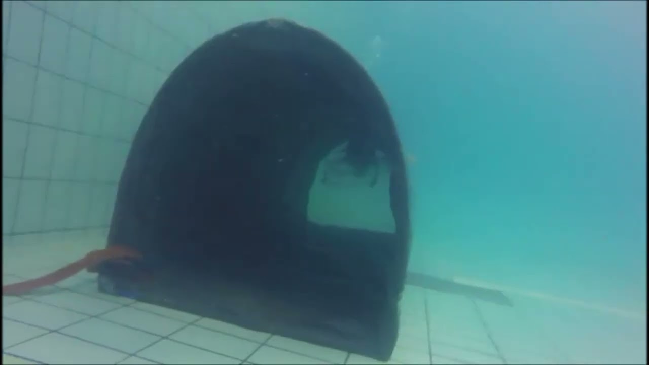 Buceo de Instrucción- Dia del Buzo- Natatorio 