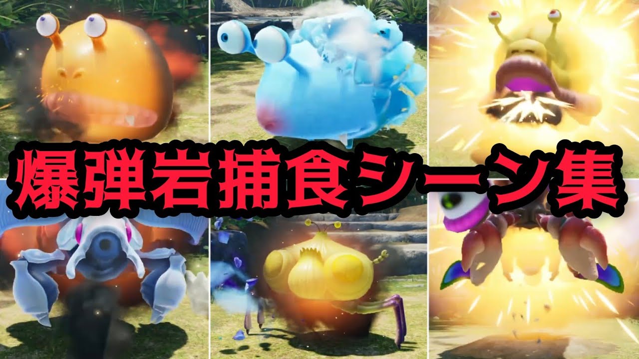 原生生物の爆弾岩捕食集【ピクミン4 PIKMIN4】