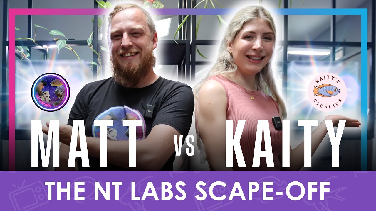 NT Labs Scape Off | Битва акваскейпов @FishShopMatt против @Kaityscichlids