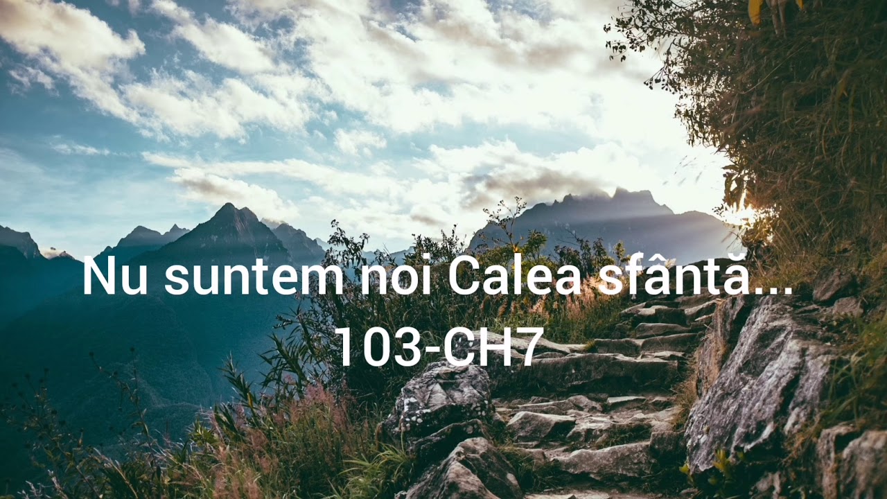 Nu suntem noi Calea sfanta - Nicolae Moldoveanu