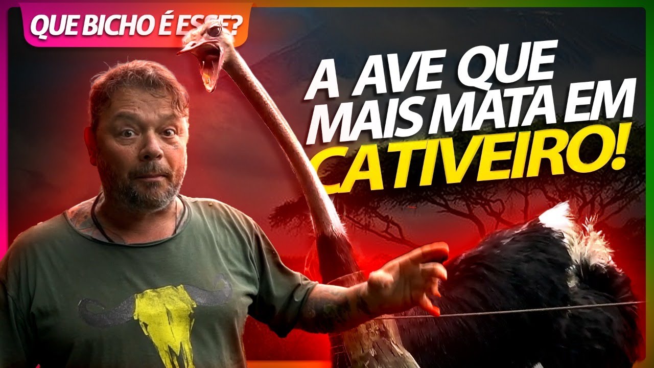 AVESTRUZ, A AVE QUE MAIS MATA TRATADORES EM CATIVEIRO! | RICHARD RASMUSSEN