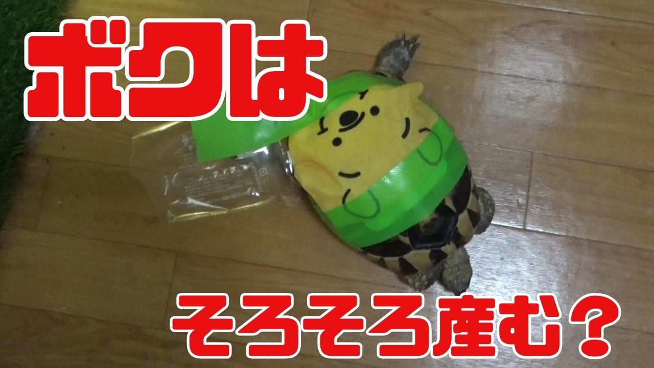 寒いのに何故か歩き回りたい気分～