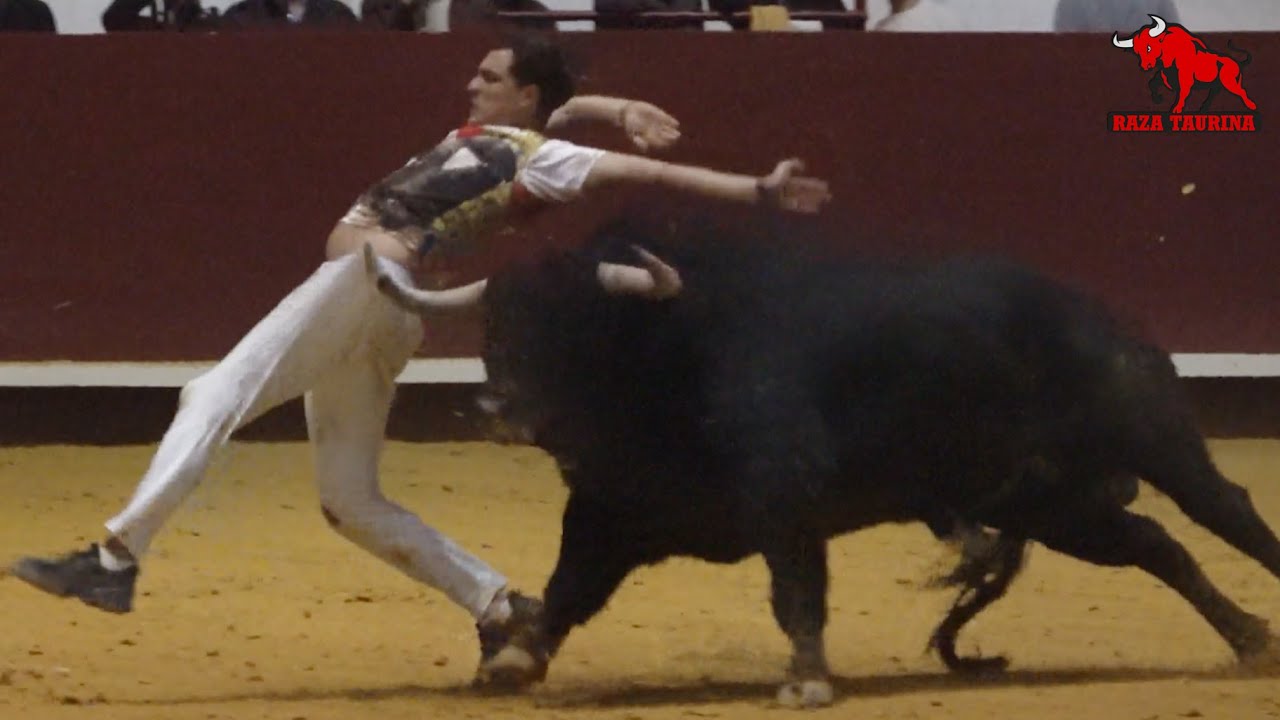 Gran Final Campeonato de Cortes de Castilla y León. La Flecha. 15 Noviembre 2025