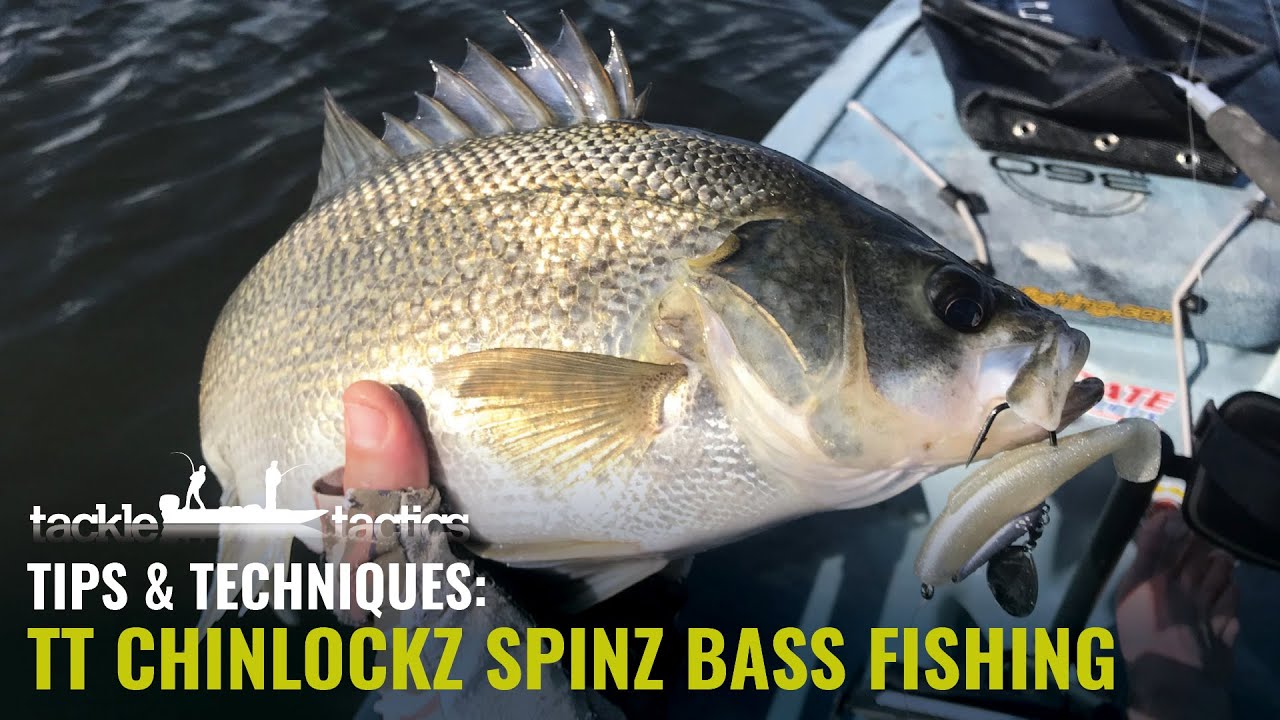 TT ChinlockZ SpinZ Bass - How to Catch Bass on Soft Plastics