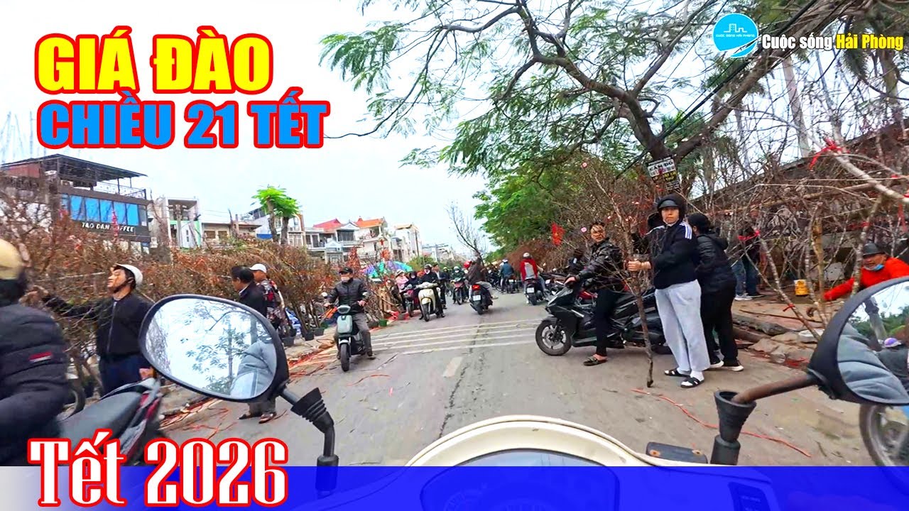 Chiều 21 Tết tại đường Tôn Đức Thắng: Giá đào có thay đổi