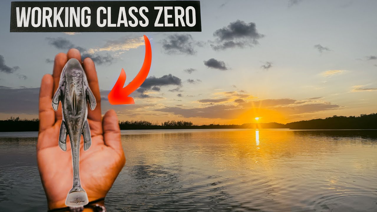 ЛОВЛЯ НОВОЙ ЖАБЫ ИЗ РАБОЧЕГО КЛАССА ZERO НА СНУК!