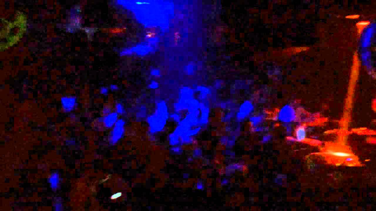 Crotekk @ Glashaus Center Worbis 19.10.13