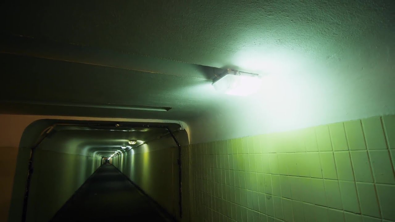 Fluorescent Light buzz sound