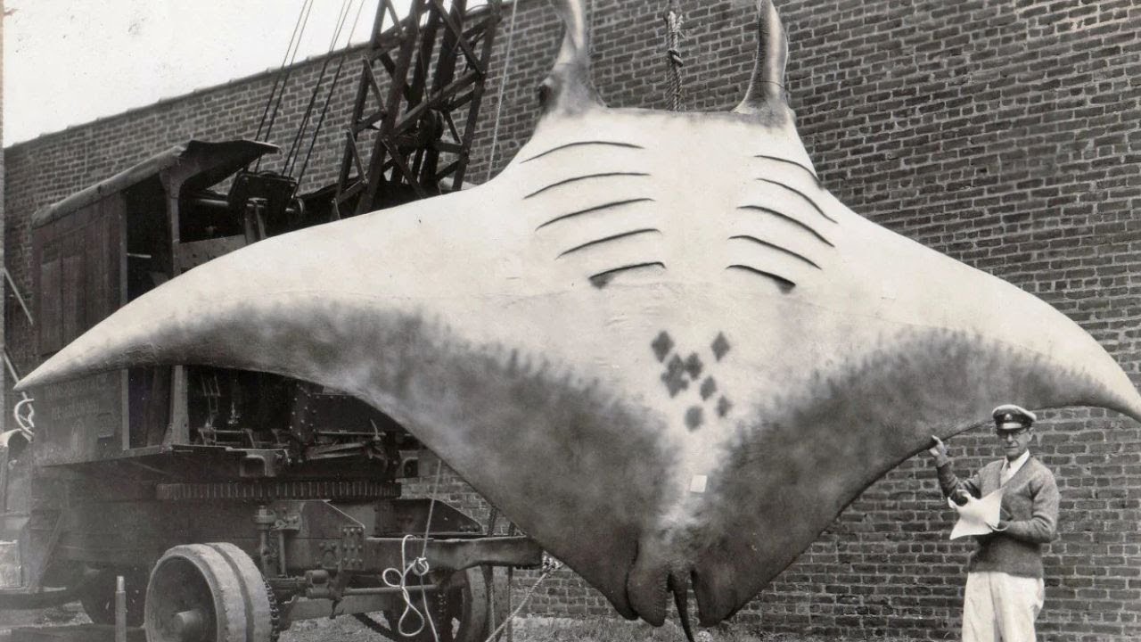 FORGOTTEN Historical Images That WillBlow Your Mind - RARE Vintage Photos