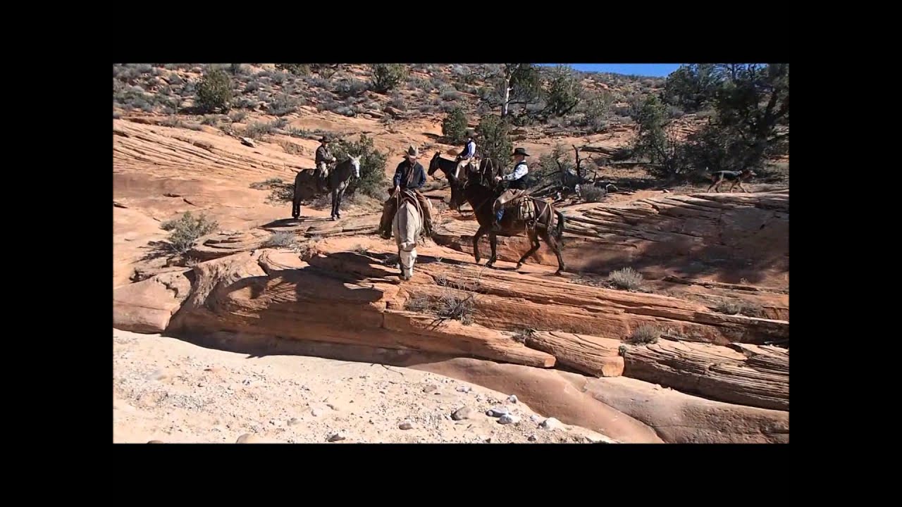 TS Mules Rock Crawlin