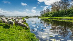 Water sustainability and treatment: Identifying water contaminants
