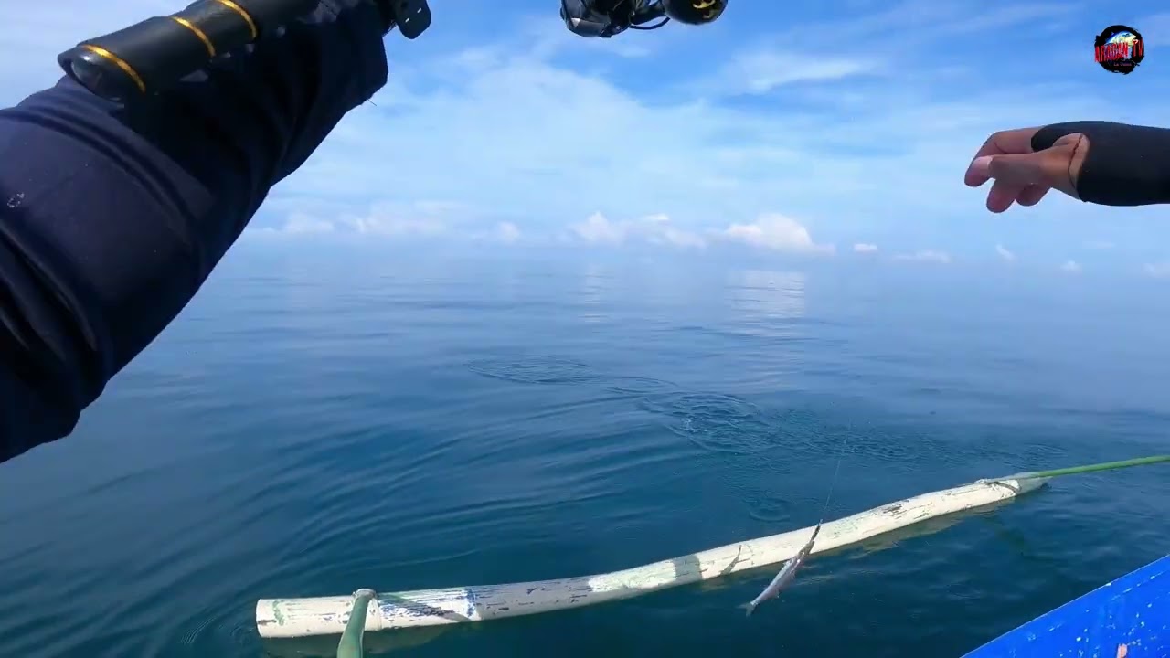 Barracuda Party | Boat Casting | Ultra light Fishing | La Union