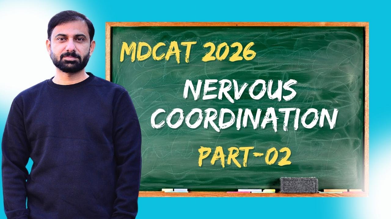 MDCAT 2026 | Lecture-04 | Nervous Coordination (Part-02)