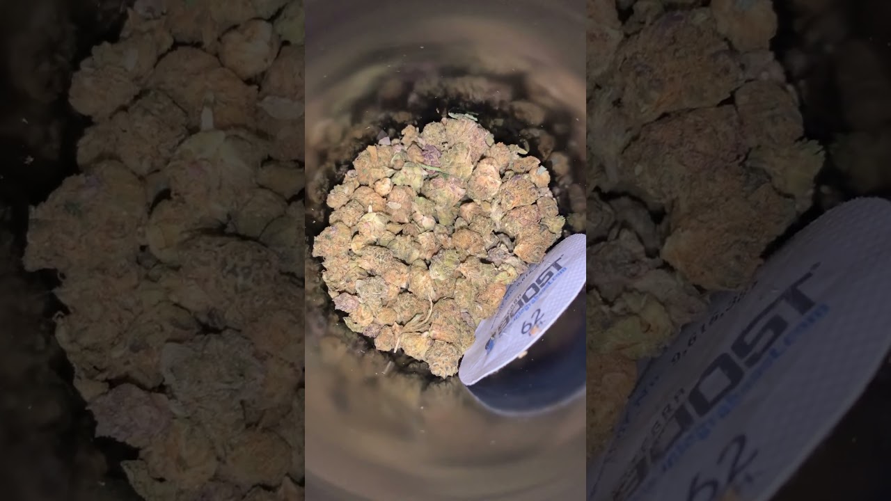 Pack from cbd hemp direct indoor micros mix pack #cbdhempdirect