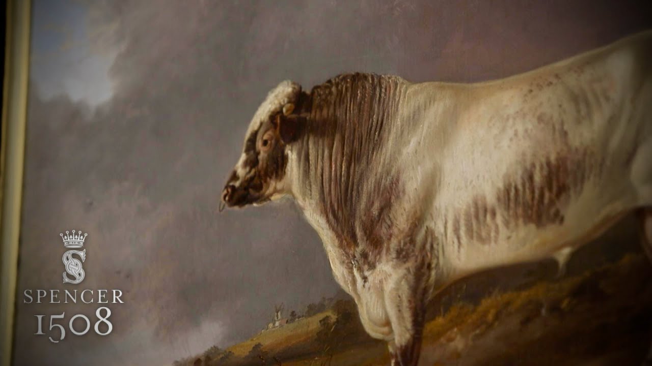 Episode #10: Spencer Shorthorns Return
