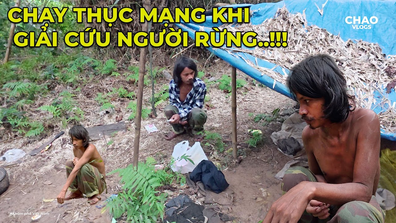 Phi Vụ Giải Cứu Người Rừng Gian Nan Và Bất lực Cái Kết Chạy Thục Mạng..!!