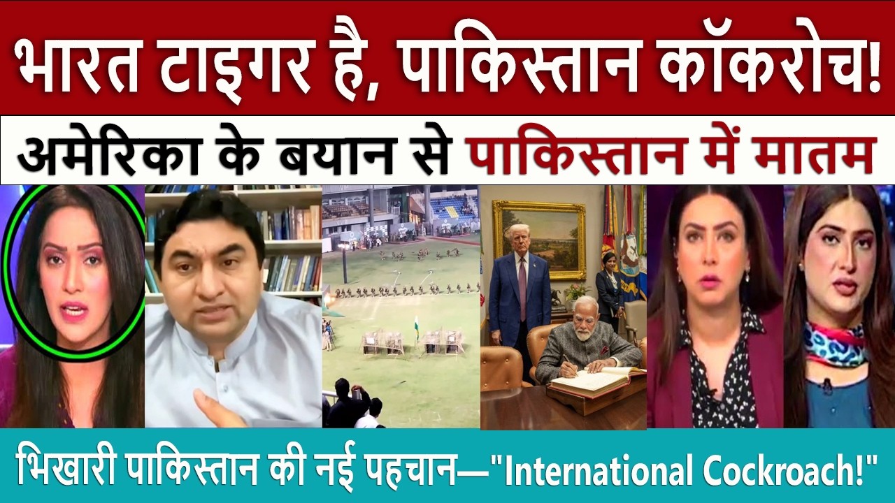 भारत टाइगर है | Pak Media Shocked on India is Tiger Pakistan is Cockroach! - USA Smashing Statement!