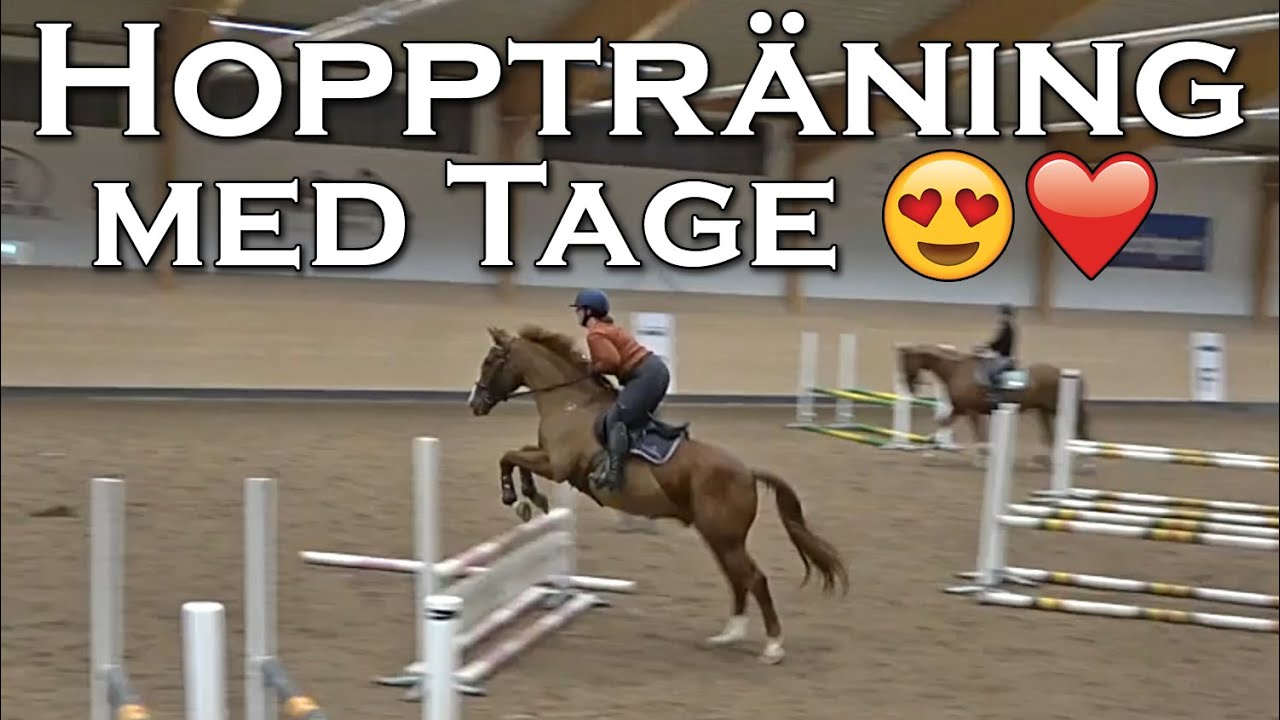 Klipper hästarna, Focus är skadad och vi hopptränar - stallvlogg