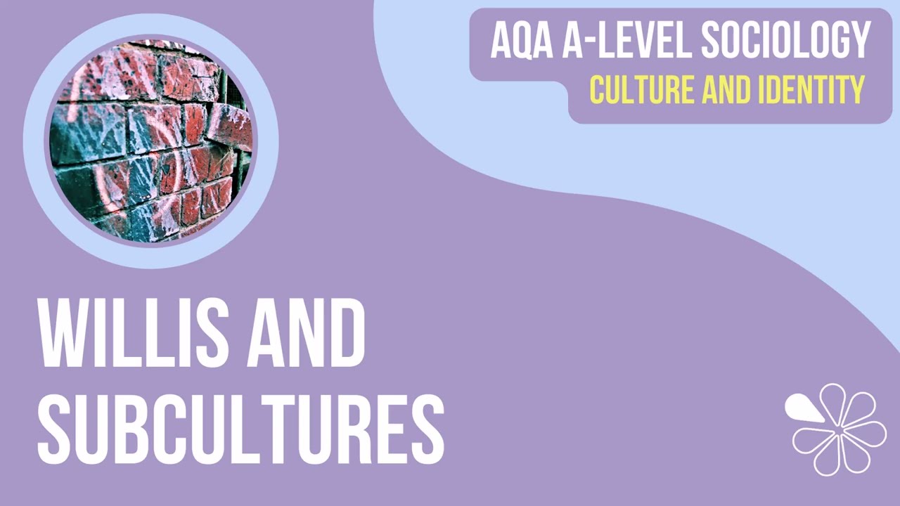Willis on Subcultures | Culture & Identity | A Level Sociology