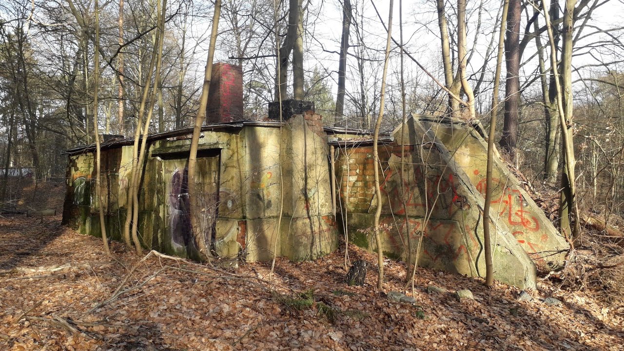 Harburger Berge - Wald-Ruinen