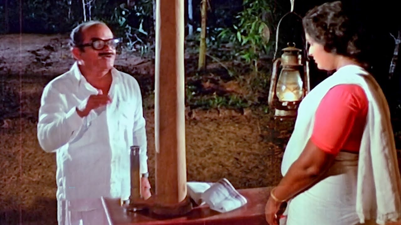 ശങ്കരൻ നായരുടെ ഭാര്യ ചെറുപ്പമാണെന്ന് നാട്ടിലെ ചെറുപ്പക്കാർക്ക് അറിയാം | Malayalam Comedy Scenes