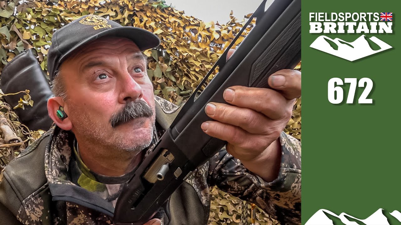 Fieldsports Britain – Geoff's pigeon drought is over