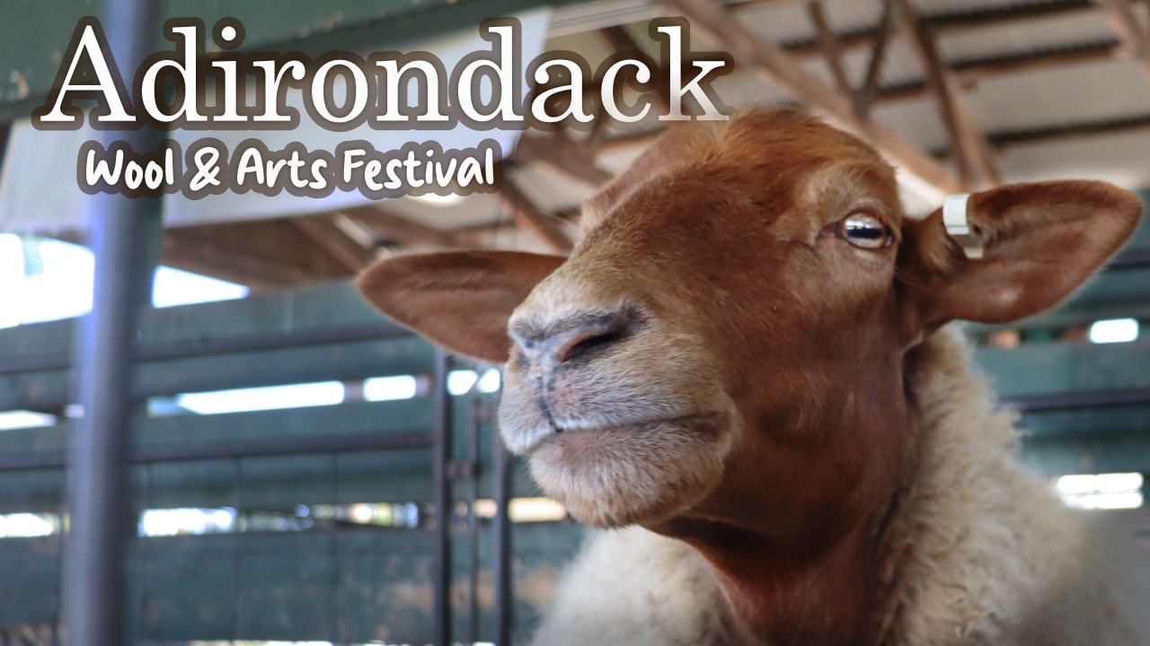 Exploring the Fiber Festival 🧶 Sheep-Goats & Wool Vlog