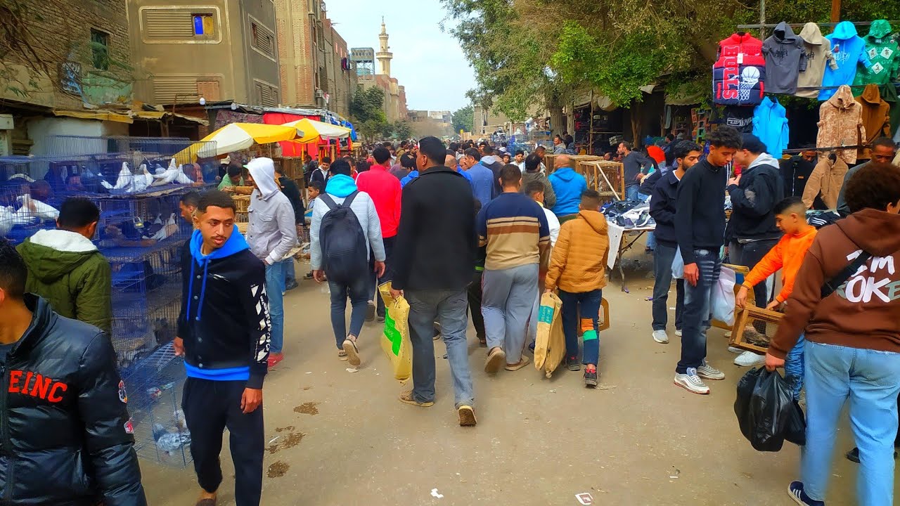 سوق الجمعه بالسيده عائشه 💥 الجزء الأول 👍 فرجه وأسعار الحمام الغزار والزينه والزاجل 🔥